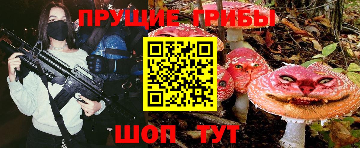 Галлюциногенные грибы Cubensis Сертолово