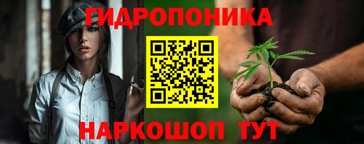 Сертолово  Бошки марихуана марихуана  Бошки марихуана Amnesia  Канабис семена  Вход с VPN 